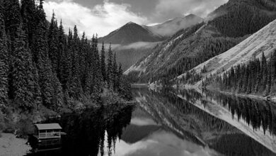 Photo of Черно-белая фотография: классика жанра