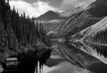 Photo of Черно-белая фотография: классика жанра