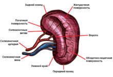 Photo of Рустик стиль кабинета