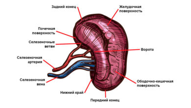 Photo of Рустик стиль кабинета